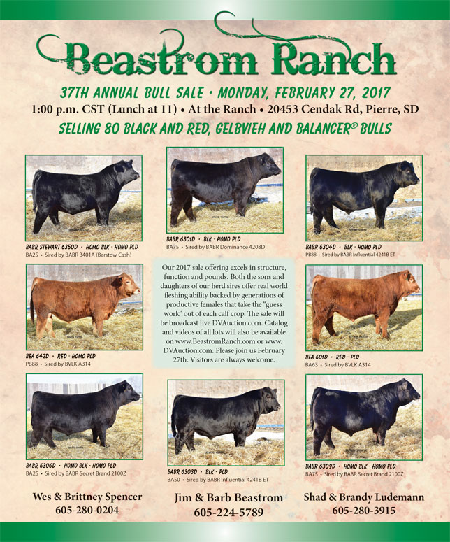 Past Sales Beastrom Gelbvieh Ranch